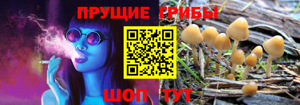 Псилоцибиновые грибы Cubensis Карталы