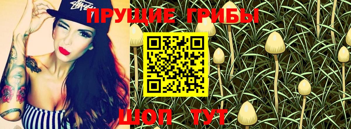 Карталы  Псилоцибиновые грибы GOLDEN TEACHER  Вход с VPN  Псилоцибиновые грибы Magic Shrooms 